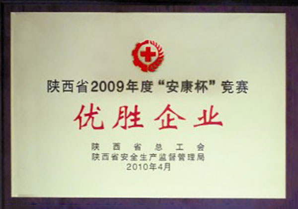 陝西2009年度“安康杯”競賽優勝企業